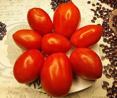 Минусинский оранжевый томат отзывы