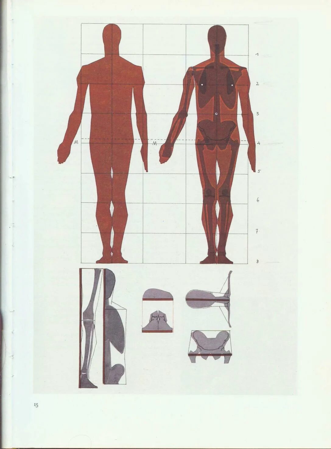Фигура человека анатомия. Пропорции человека Баммес Готфрид. Пропорции мужской фигуры Баммес. Готфрид Баммес анатомия пропорции. Пропорции человека Баммес мужчина.