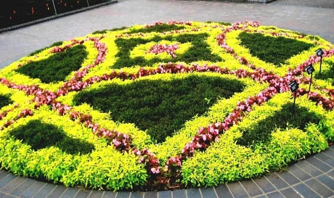 Объемные картины хелен масселвайт. Похожую композицию. Флористические композиции. Композиция в европейском стиле. Похожую композицию.