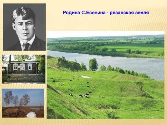 Родина есенин урок. Есенин о родине. Подготовьте материал для выставки Есенинская Родина. Родина Есенина на карте. Есенинские места Константиново на карте.