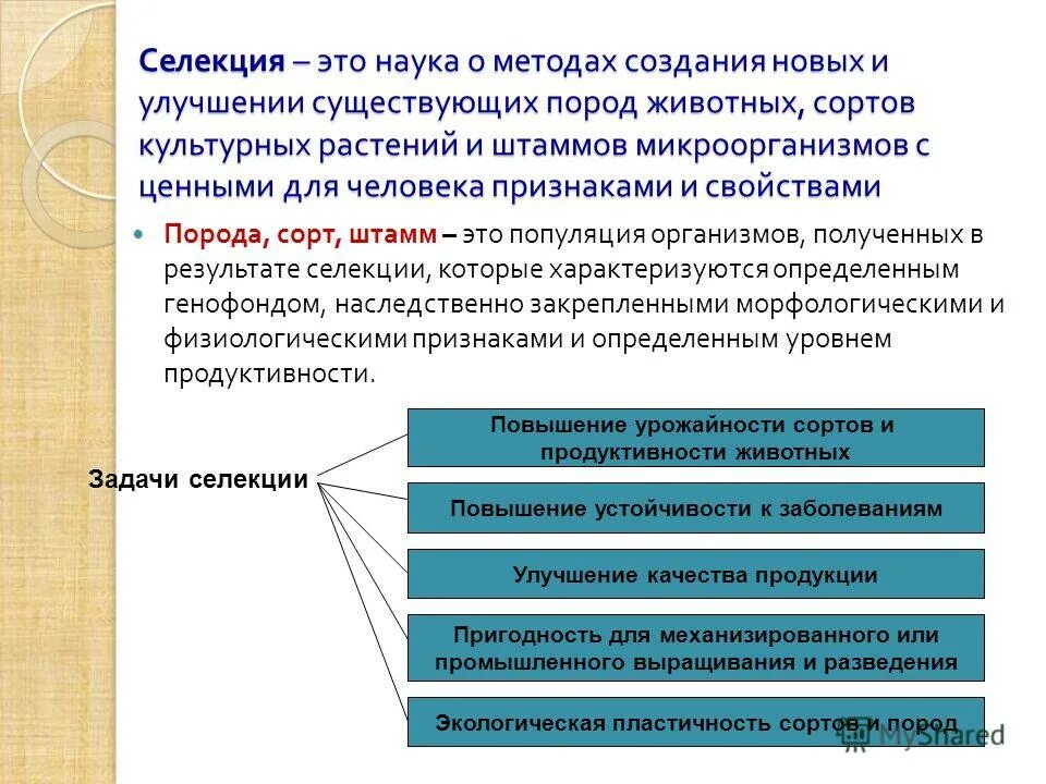 Методы селекции: отбор, гибридизация, полиплоидия. Схема селекционного процесса подсолнечника. Гибридизация метод селекции. Селекция это наука о. Последовательность операций при селекции микроорганизмов.