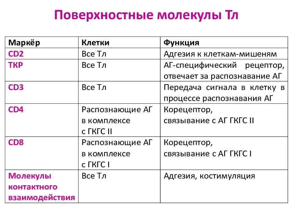 Функция маркеров