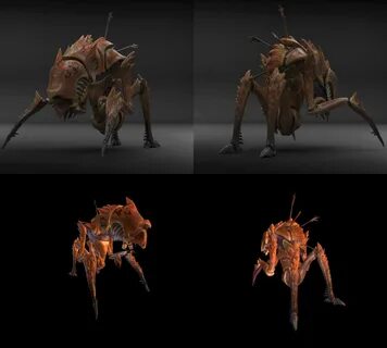 19+ Images of Antlion Guard Half Life Wiki Fandom Powered By Wikia.