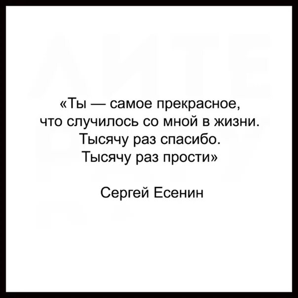 Тысячу раз спасибо тысячу раз прости. Ты самое лучшее в моей жизни. Ты самое прекрасное что случилось со мной в жизни. Ты самое прекрасное что случилось со мной в жизни тысячу раз спасибо.