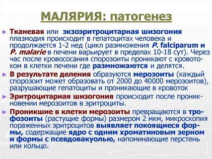 Рецидив малярии