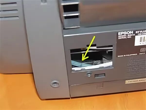 Epson l3100 сброс памперса