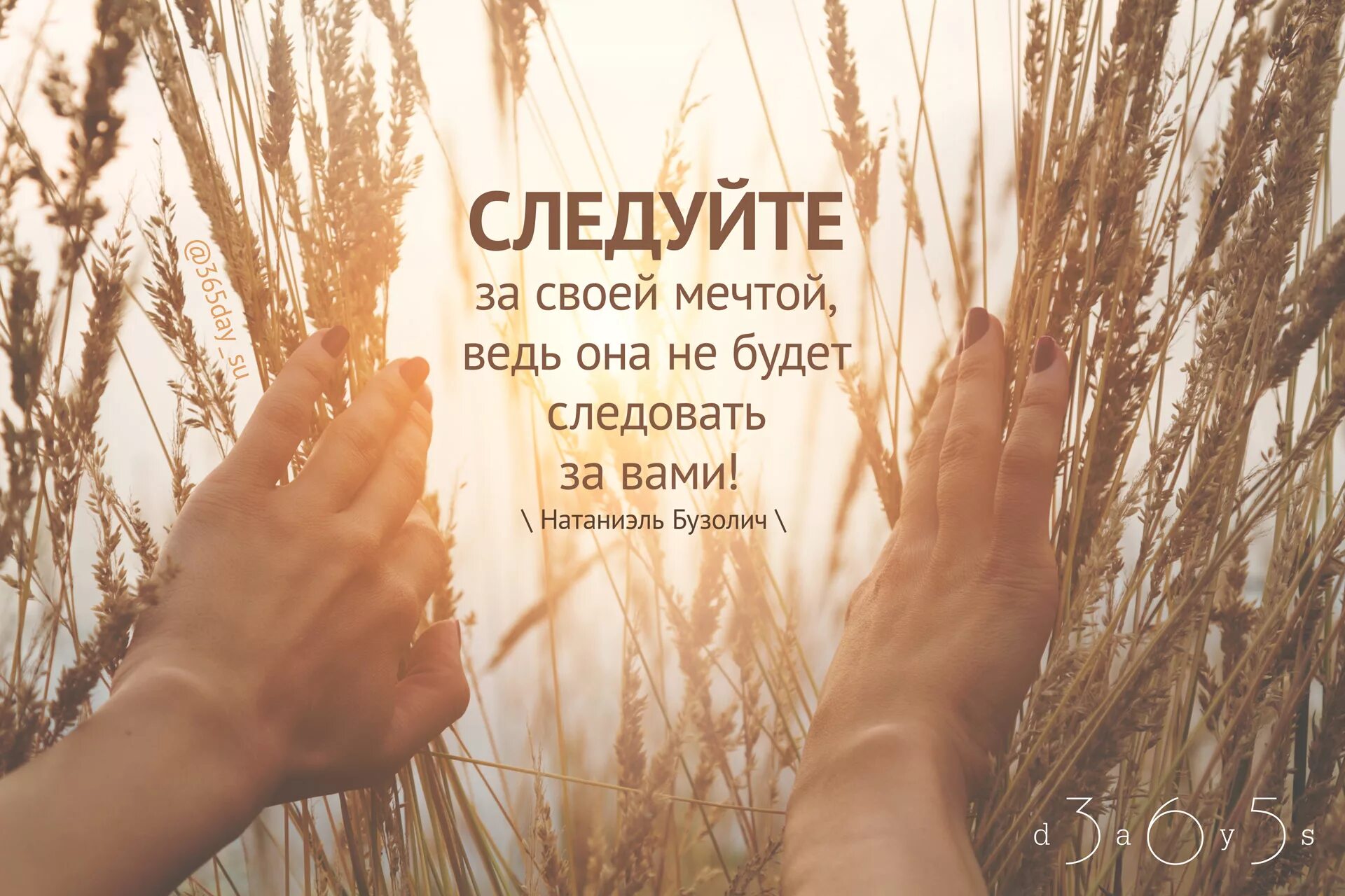 Следуй за своей мечтой. Следуй за мечтой цитаты. следуй своей мечте. следу за мечтой цитата. следуй за своей мечтой картинки.