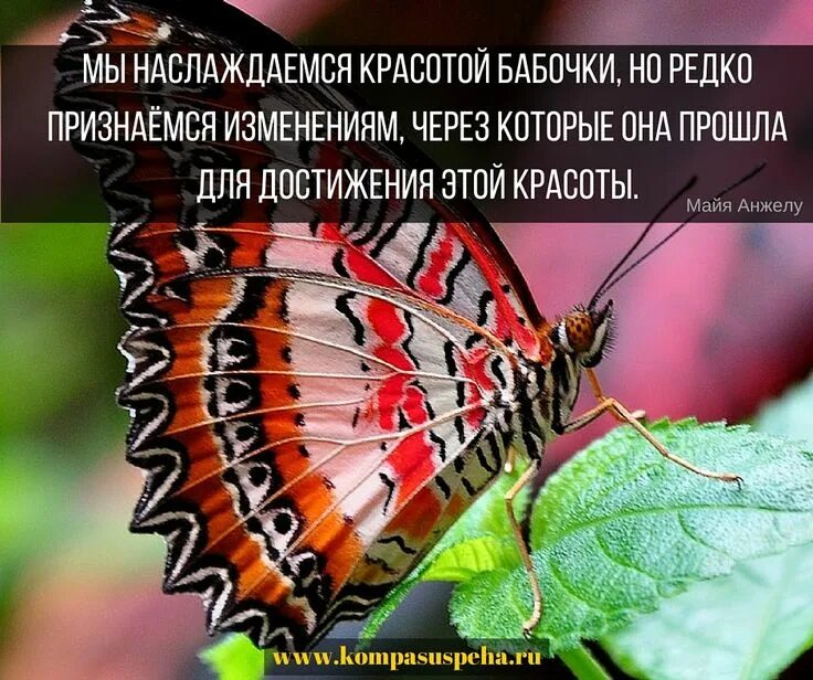 Которые редко но могут