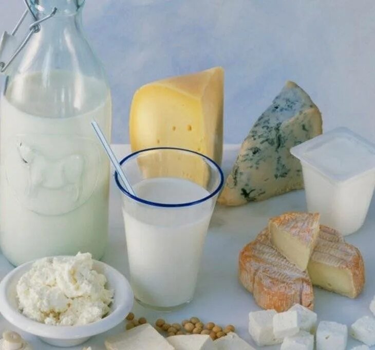 Можно ли есть молочную