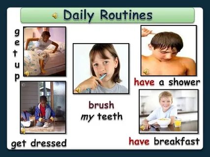 Daily routine video
