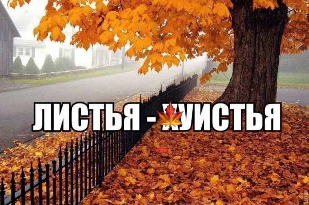 Про осень прикольные. Мемы про осень. Осень картинки прикольные. Осенние приколы. Сентябрь кончаться