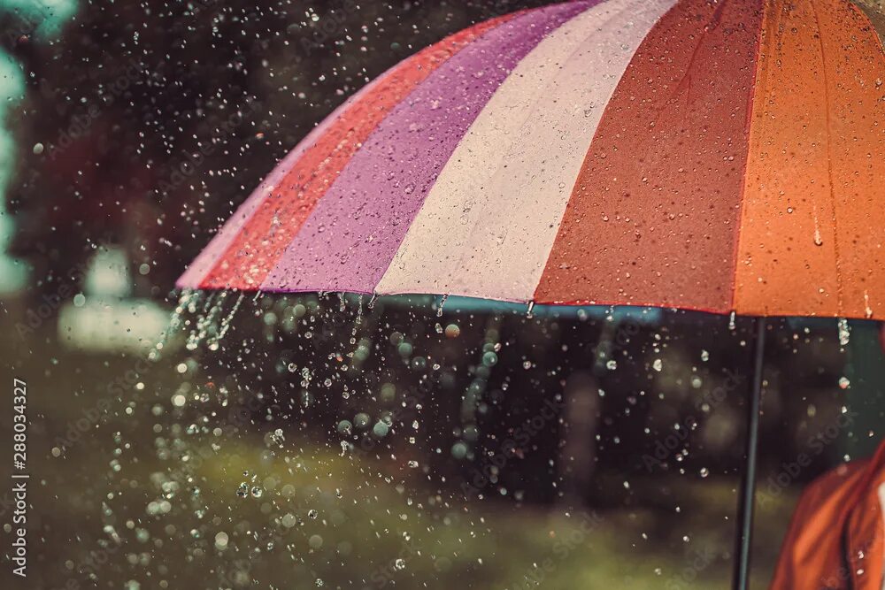 Walking in the rain. Капли дождя. Девочка под зонтиком. Маленькая повесть. Мой маленький дождь.