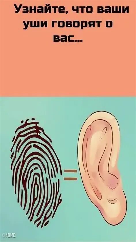 Что нам уши говорят. Что нам уши говорят. Что нам уши говорят. Что нам уши говорят. Что нам уши говорят.