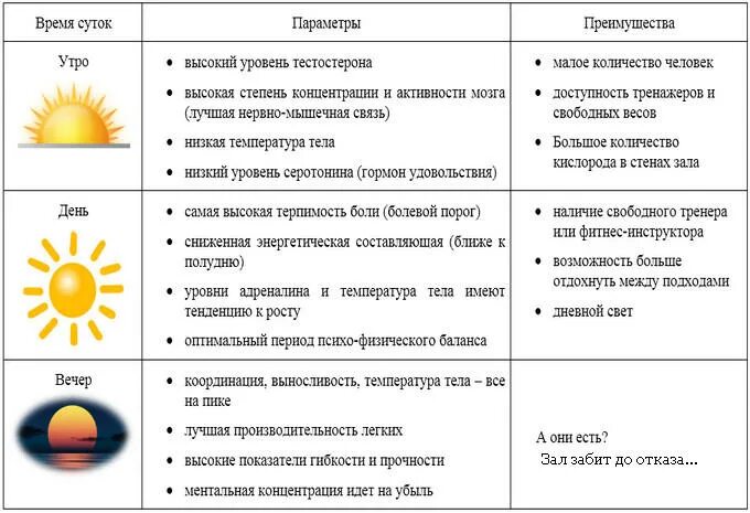 Когда колоть витамины утром или вечером. В какое время суток принимать железо. В какое время лучше принимать железо. В какое время суток принимать витамины. Когда лучше принимать железо утром или вечером.