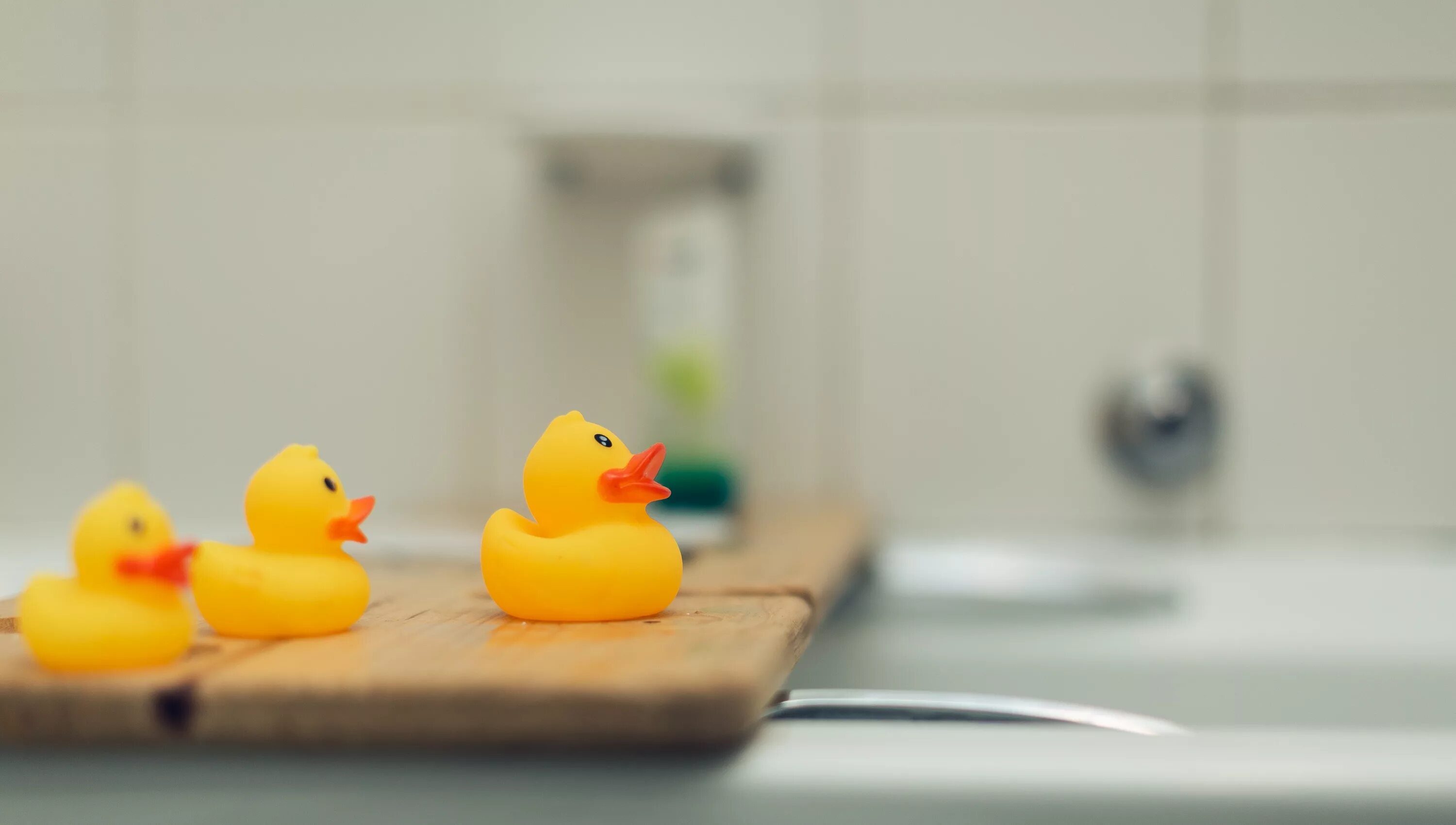 Duck source. Теплая ванна и резиновая утка. обои на рабочий стол резиновые уточки. резиновые уточки темные. duck for bath.