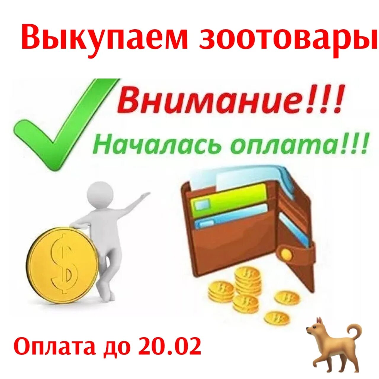 Оплата заказа. Началась оплата заказов. Внимание ,оплачиваем заказы. Идёт оплата заказа.