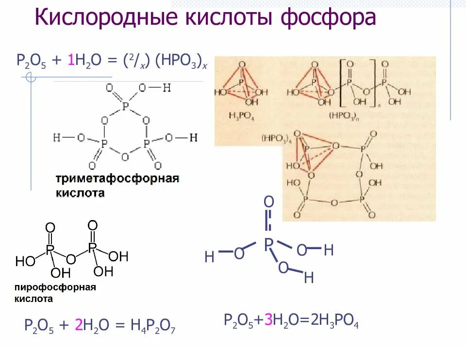 Фосфорная кислота гибридизация. Строение оксида фосфора 5. Строение молекулы фосфорной кислоты. Хим формула фосфорной кислоты. Ортофосфорная кислота формула химическая 8 класс.