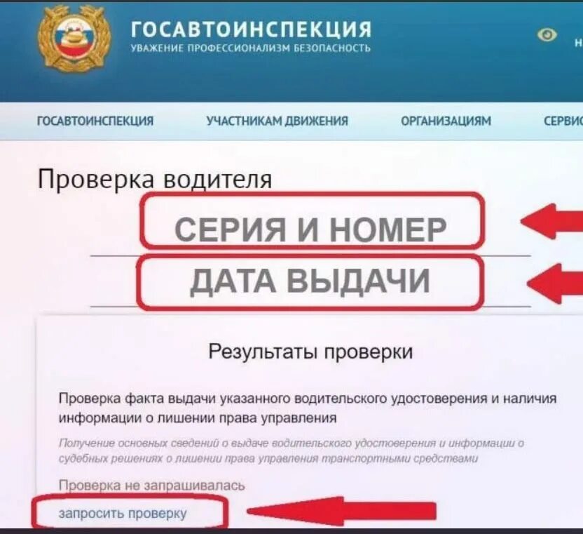Проверка по базам рф. Проверка водительского удостоверения. Лишение прав в базе ГИБДД. Проверка прав ГИБДД. Лишение прав на сайте ГИБДД.