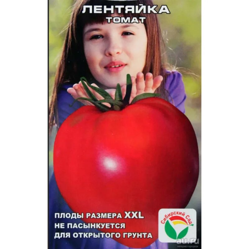 Томат лентяйка 20шт (сибсад). Семена сибирский сад томат лентяйка 20шт. Томат сибирская селекция лентяйка. Лентяйка томат описание. Томаты лентяйка отзывы фото урожайность.