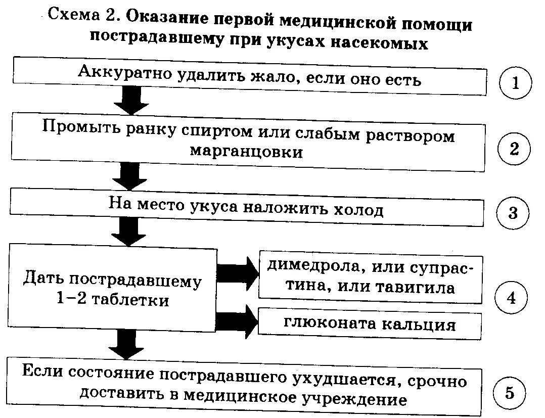 Алгоритм помощи при укусах. Первая помощь при укусе насекомых алгоритм. Оказание первой мед помощи при укусе насекомых. Алгоритм действий при укусе насекомых. Первая мед помощь при укусах насекомых.