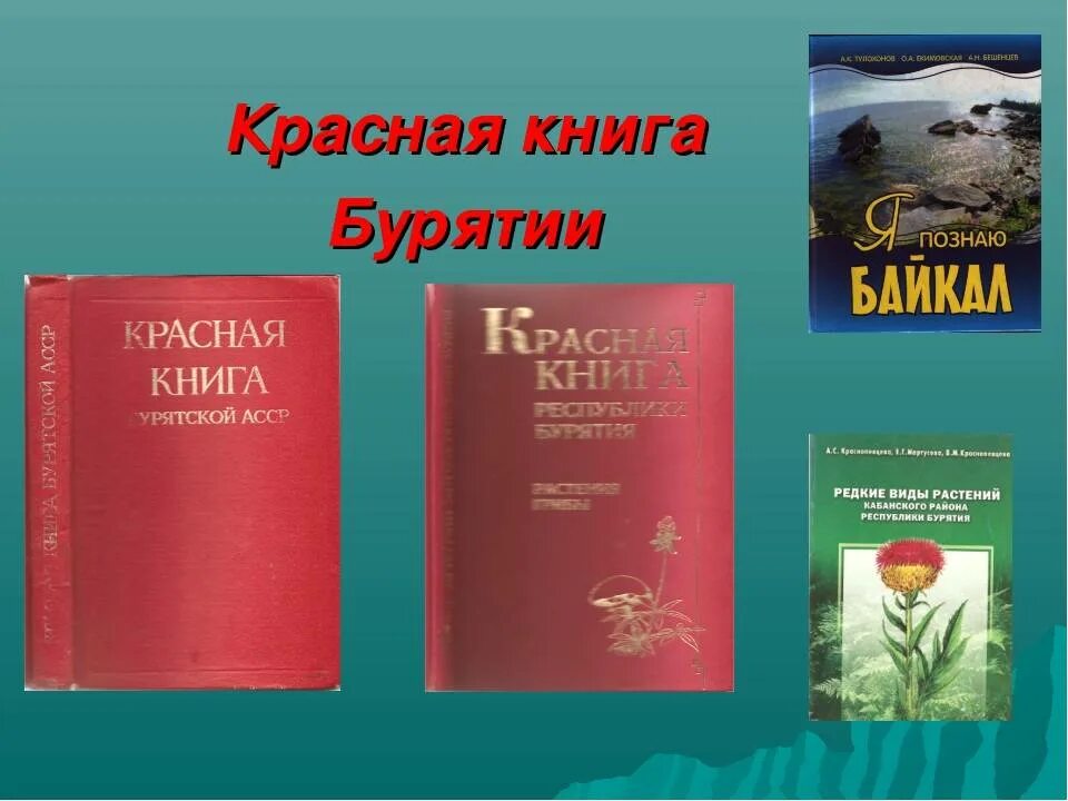 Растения и животные красной книги республики бурятия. Красная книга республики бурятия книга. красная книга республики бурятия животные и растения. животные занесенные в красную книгу бурятии. животное бурятии занесенное в красную книгу.