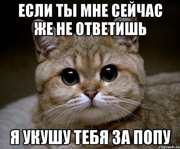 Можно я сейчас напишу