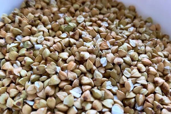 Конфеты с гречкой. Живая гречка. живая каша из зеленой гречки. гречневые конфеты. сладости из гречки.