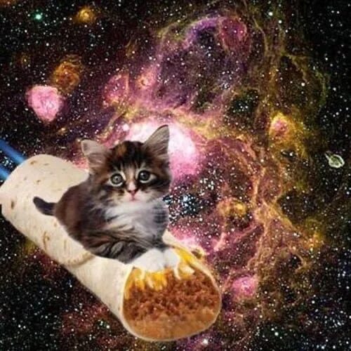 Кошка полетевшая в космос. Космический кот. Кот в космосе. Кот на шаурме в космосе. Кот летает в космосе.