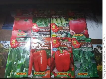 Агрофирма аэлит
