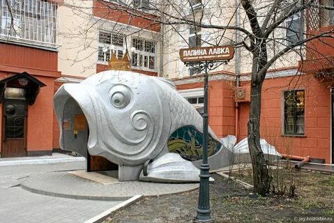Профтесто калуга