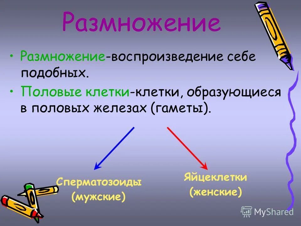 Поедающий себе подобных. Поедающий себе подобных