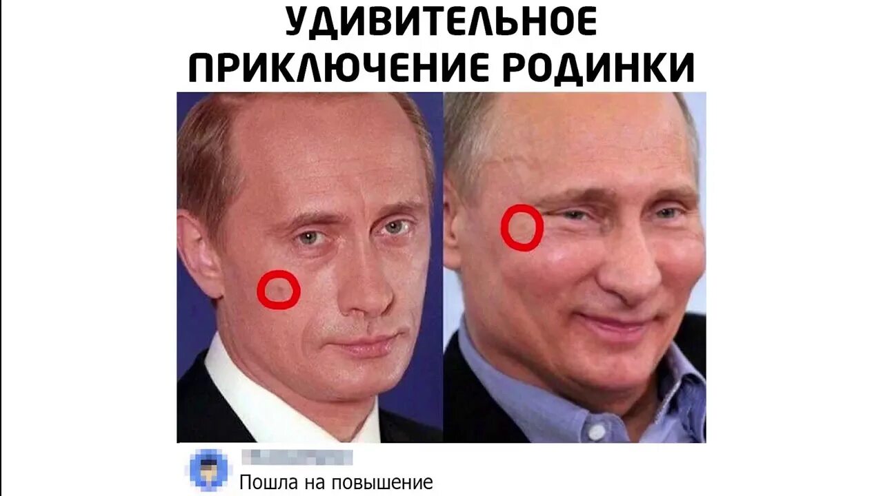 Двойники Путина Удмурт банкетный. Родинка Путина.
