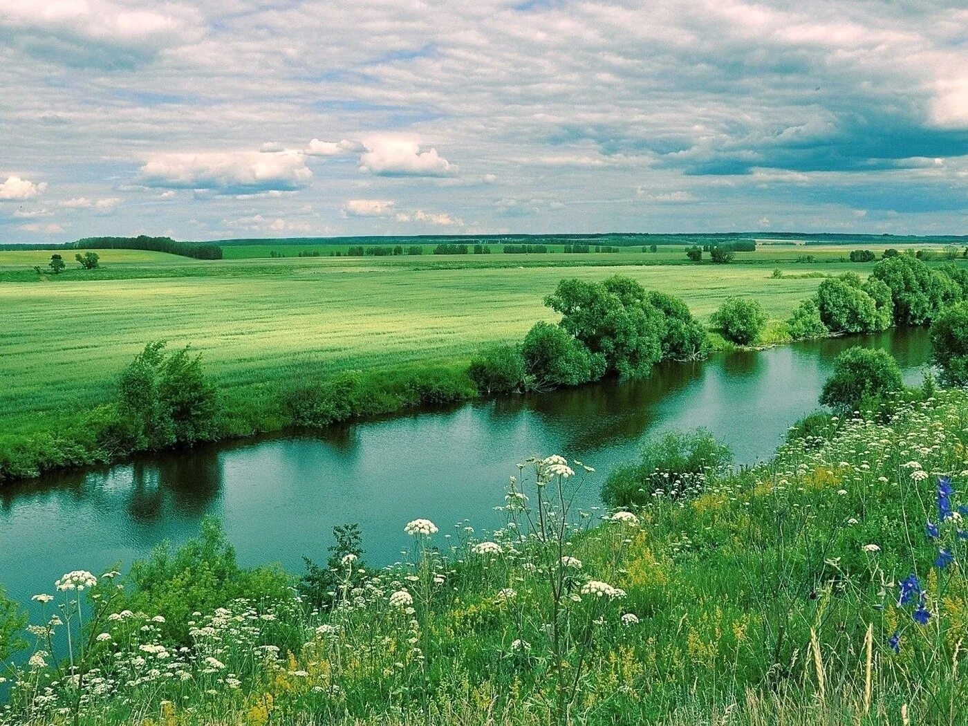 Вижу реки и долины