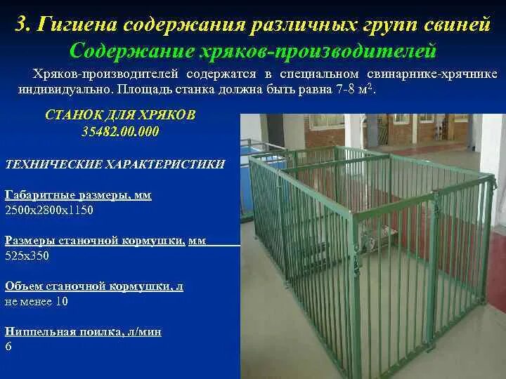 Разный содержать