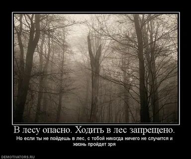 Не ходи по лесу один