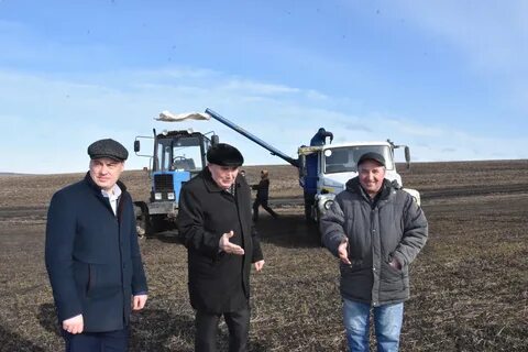 Долговы агрохолдинг