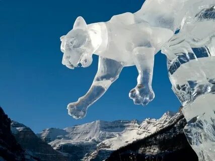 Cool snow