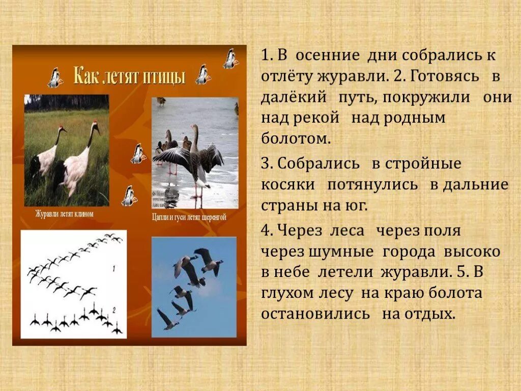 Приближается осень косяки журавлей. В осенние дни готовились к отлету Журавли. В золотые осенние дни готовились к отлёту. Журавли готовятся к отлету. Рассказ улетают Журавли.