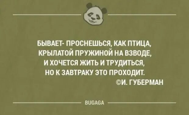 Проснешься как птица крылатой. Бывает проснешься как птица крылатой пружиной на взводе. Бывает проснешься как птица. Бывает проснешься как птица крылатой Губерман. Губерман бывает проснешься.