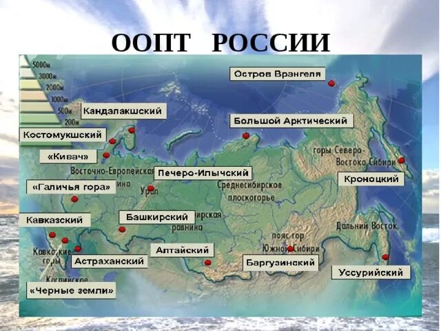 Карта заповедников России. Заповедники России география. Заповедники России арта. Название заповедников.