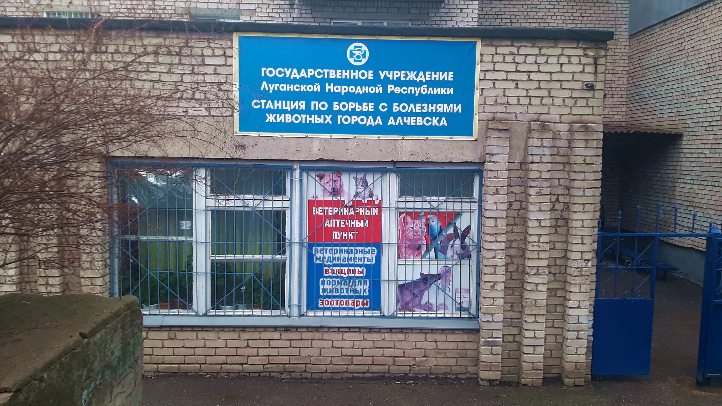 ветеринарная клиника оренбург моторная 10. ветеринарная больница. зооветцентр купавна. ветклиника сочи пластунская. читинскую станцию по борьбе с болезнями животных.