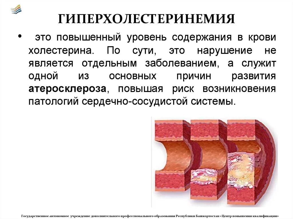 Повышенное содержание холестерина в крови. Причины гиперхолестеринемии биохимия. Причины развития гиперхолестеринемии. Гиперхолестеринемия это атеросклероз. Гиперхолестеринемия причины.