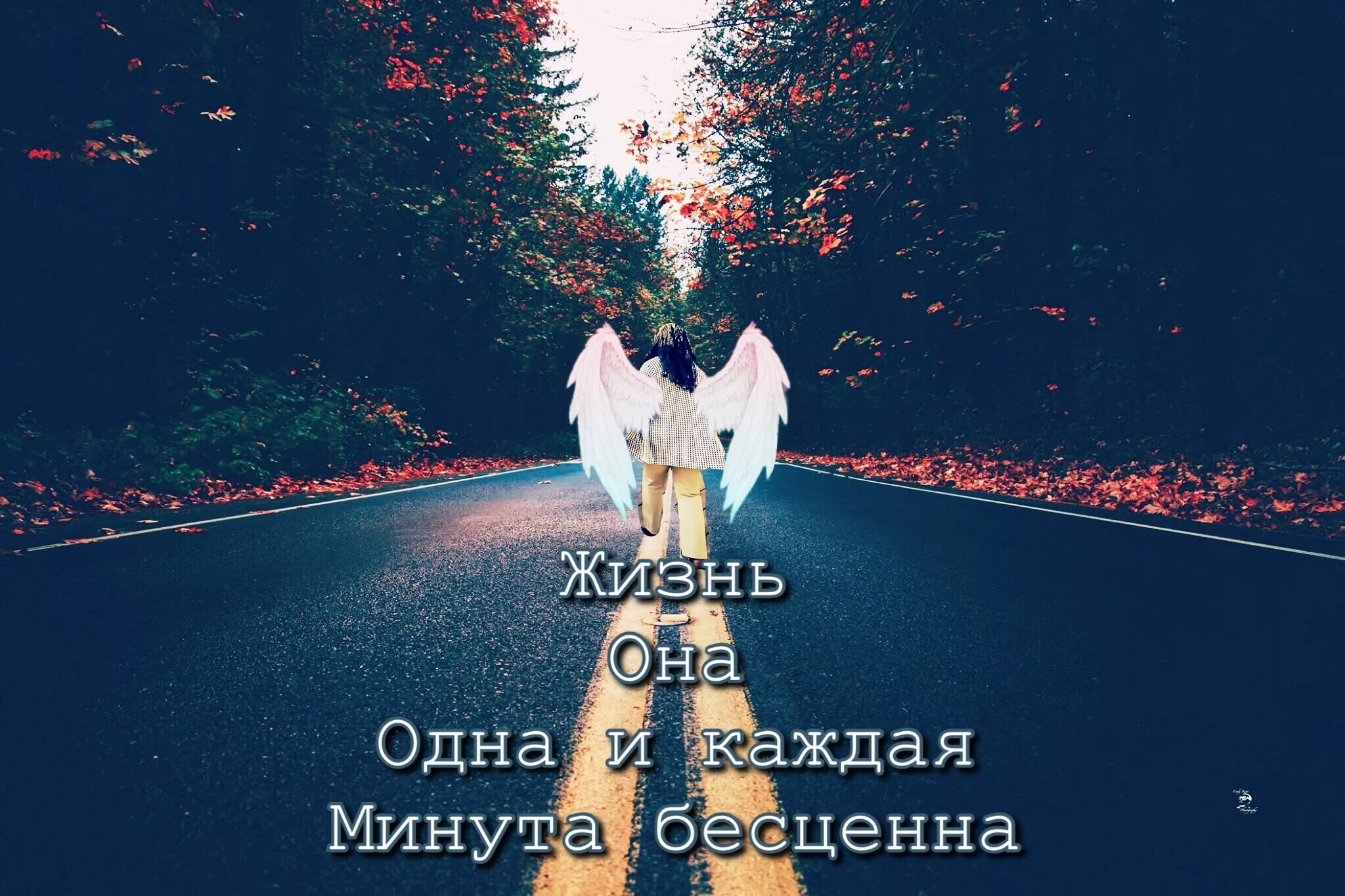 Каждую минуту изменения в