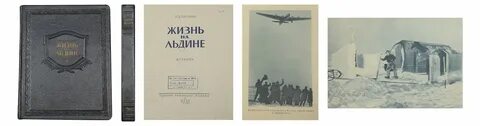 Жизнь д п