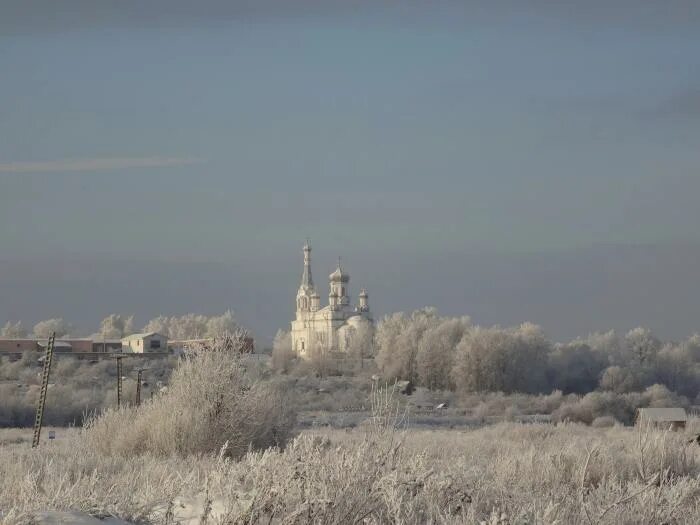 Низино в контакте. Церковь в Низино. Низино Ломоносовский район храм Александры. Церковь в Низино Ломоносовского района. Деревня Низино.