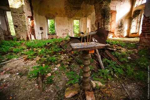 Заброшенная ярославская область