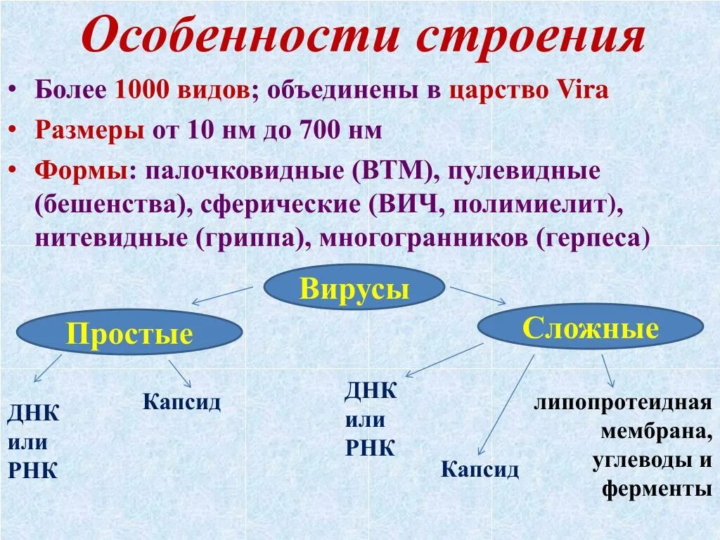 Признаки вирусов биология 5 класс. Особенности структуры вирусов. Особенности строения вирусов. ОСОБЕННОСТИСТРОЕНИЕ вируса. Вирусы особенности их строения.