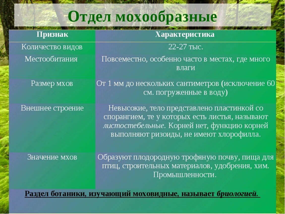 Признаки отдела Моховидные. Характеристика растений. Признаки отдела мохообразные. Особенности моховидных растений.