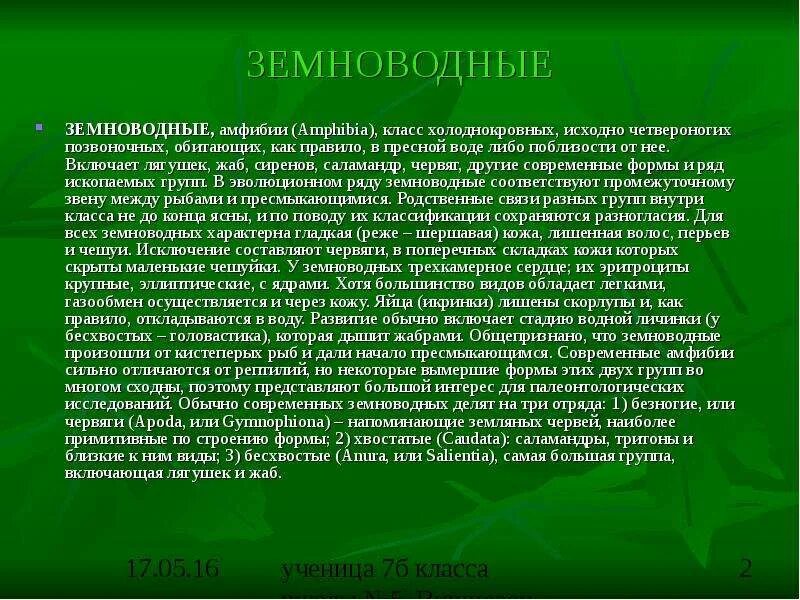 Включи земноводный. Сообщение о земноводных. Сообщение на тему земноводные. Доклад о земноводных. Сообщение. Пор зимноводных.