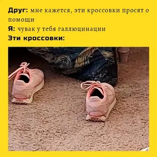 Почему строение животные казались никите тайными людьми